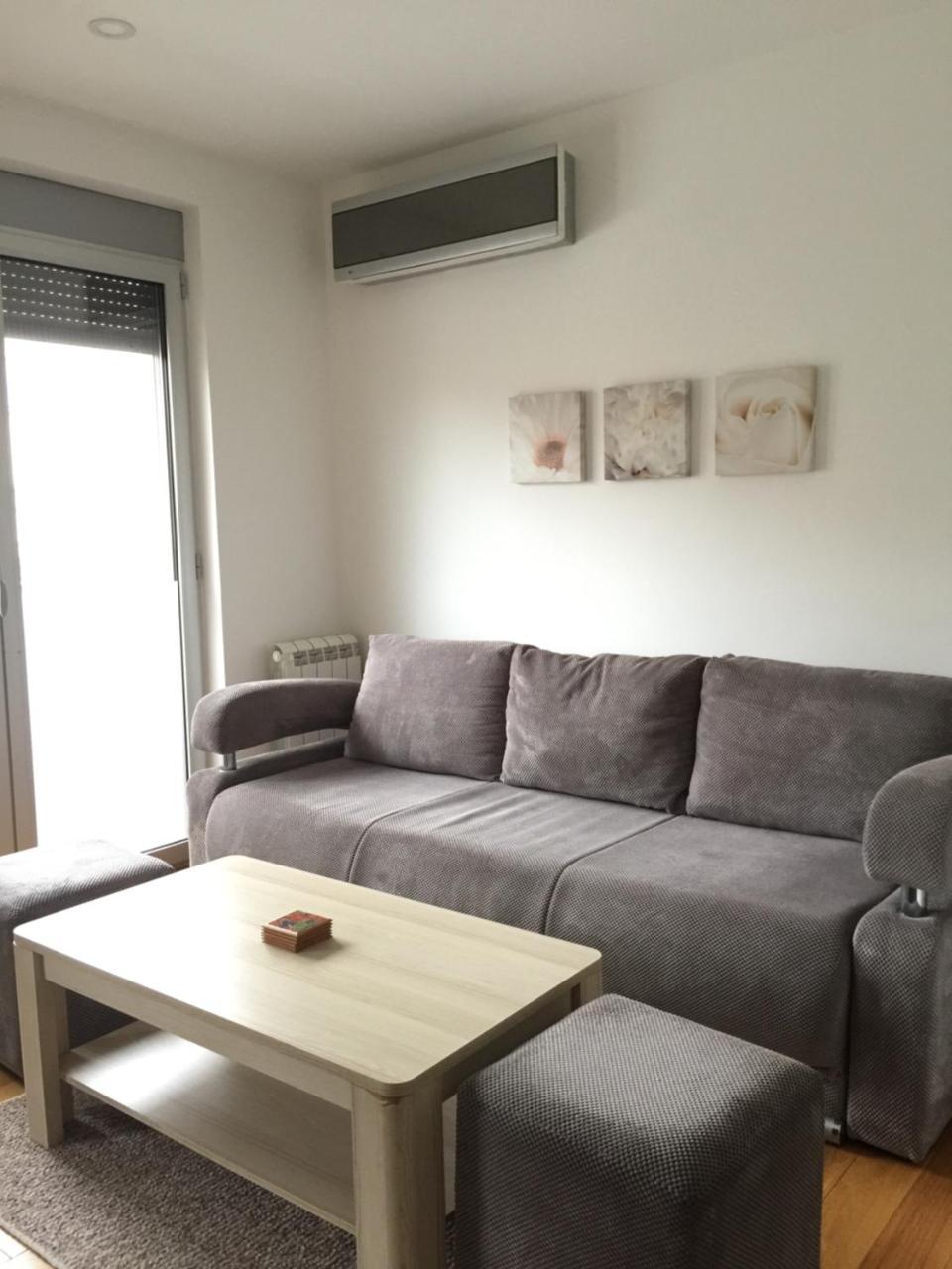 Lazic Apartment 贝尔格莱德 外观 照片